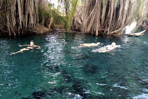 1 Full Day to Materuni Waterfalls, Coffee Tour & Chemka Hotspring
