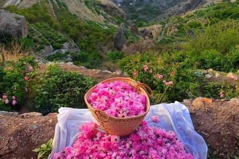 Private ganztägige geführte Sightseeing-Tour durch den Oman