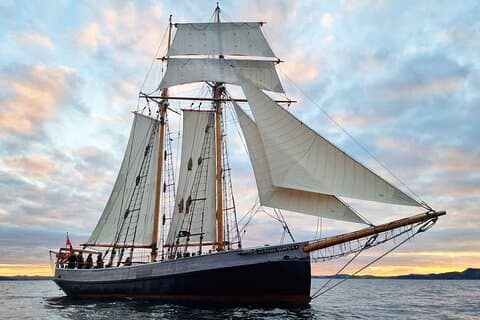 Bay of Islands Tall Ship Sundowner Segling
