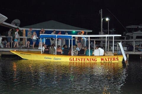Excursion nocturne en bateau dans le lagon lumineux au départ de Montego Bay