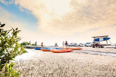 Qatar Kayak Adventure-Mangrove à Purple Island W/Pick & drop