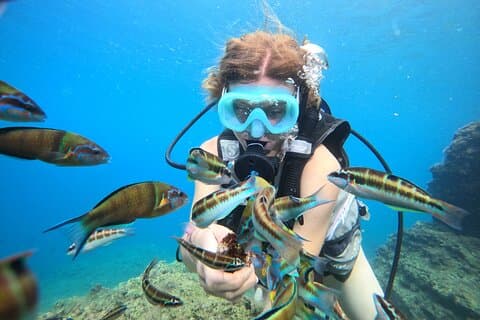 Buceo de medio día en las cascadas de Duden