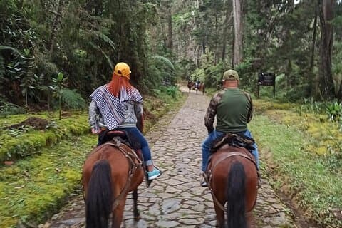 Route de la cavalcade de Medellin du Coffee & Spa