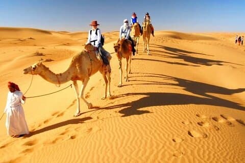 Dubai Desert Half-Day Sunset Camel Ride & BBQ Dinner