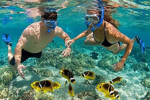 Phu Quoc 4-Island Tour With Speedboat and Scuba Diving/Snorkeling