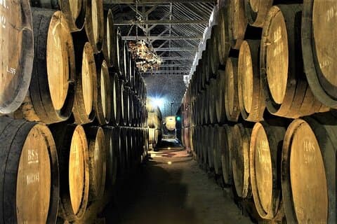 Cata de vinos privada en la región vinícola de Setúbal, desde Lisboa