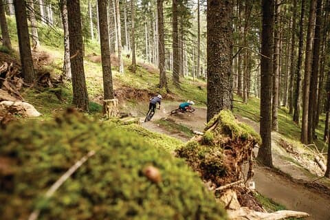 Utflukter på Bikepark Innsbruck