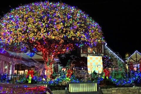 Nova luz espetacular aprimorada para férias em Smoky Mountain
