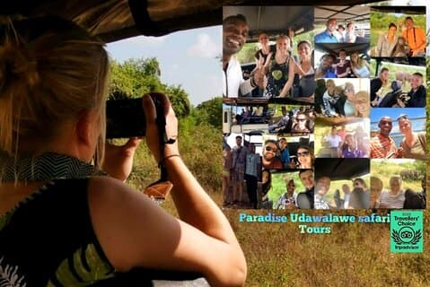 Paradise Udawalawe Safari Tours