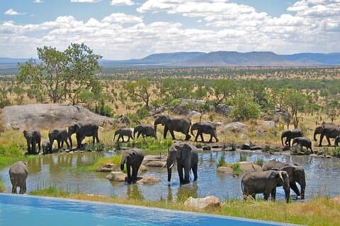 Heldags Hluhluwe Imfolozi Private Game Reserve fra Durban
