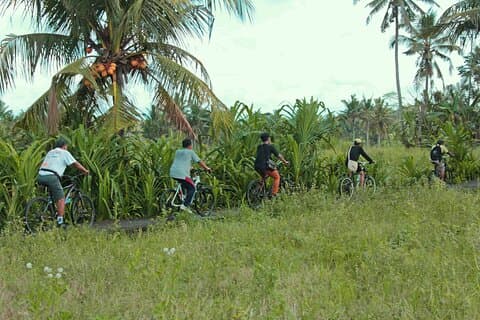 Il tour in bicicletta ecologico della campagna di Bali include il pranzo