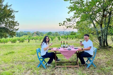Private 2cv tour in the vineyards and Wine tasting