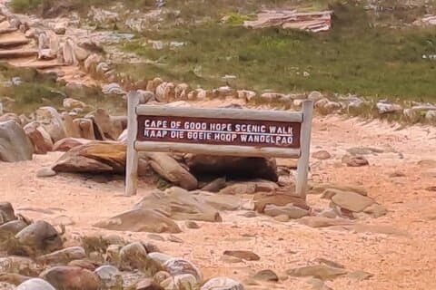 Cape of Good Hope-Cape Point & Penguins from Cape Town
