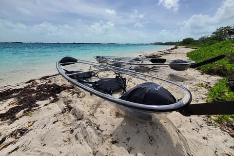 Effacer Kayak Mangrove Eco Tour