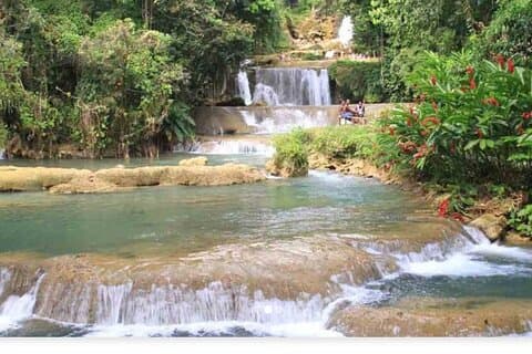 YS Falls, Black River og Pelican Bar Tour fra Negril