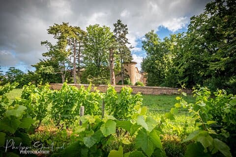 Skræddersyet planlagt Beaujolais vingårdstur - privat chauffør - Lyon