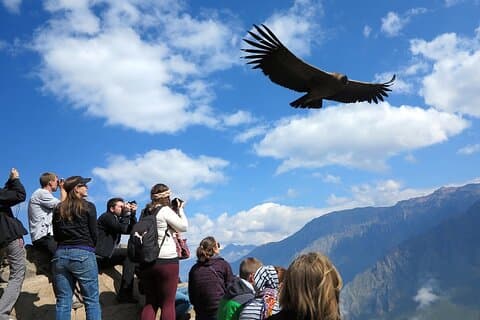 Colca Canyon in 1 day from Arequipa