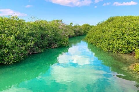 Sian Kaan Boat Ride Experience From Cancun & Playa Del Carmen