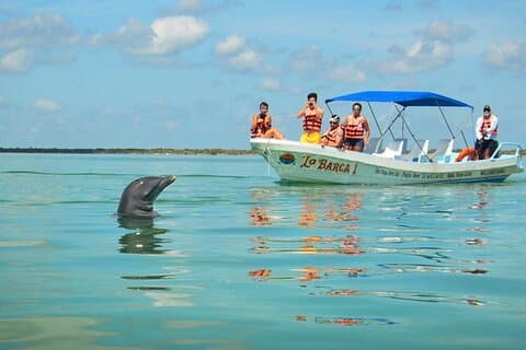 Sian Kaan Eco Adventure! Transportation From Playa Del Carmen