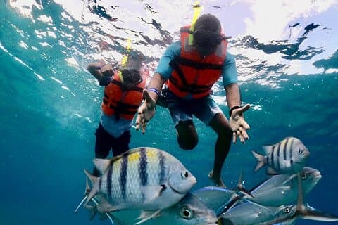 Aventura na Natureza! Barco claro de Cozumel de Cancun