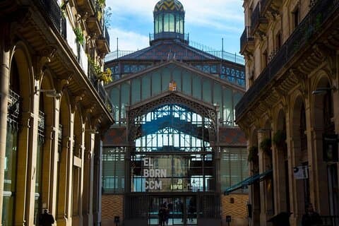 Skip The Line - Museo de los Primeros Picasso y Barrio del Born