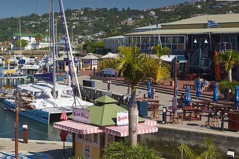 Durban till CapeTown - 7 dagars Garden Route Tour & Addo National Park