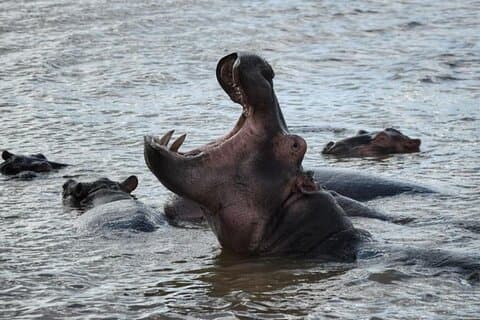 Privat 12-dages Johannesburg, Kruger, Drakensberg, Cape Town Tour