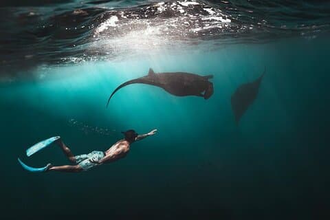 Snorkelen Manta Ray in Nusa Lembongan