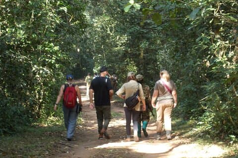 2 dagers Gorilla Trekking i Bwindi gjennom Kigali