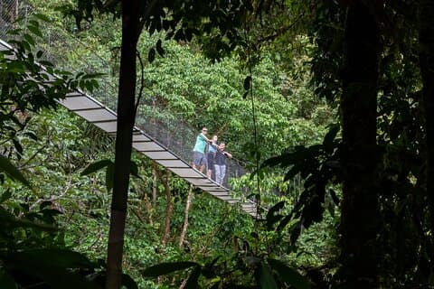 La Fortuna: Arenal Hanging Bridges Hiking Tour