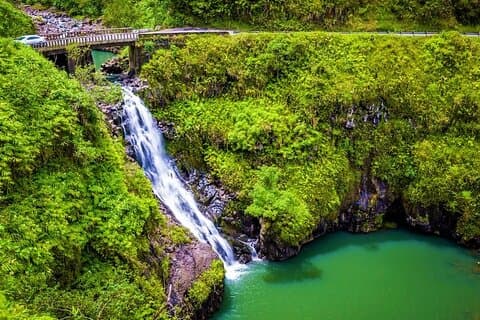 Viator Eksklusiv: Maui Tropical Rainforest Small Group Tour