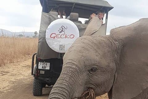 Excursion de 2 jours dans la réserve de gibier de Selous au départ de Zanzibar