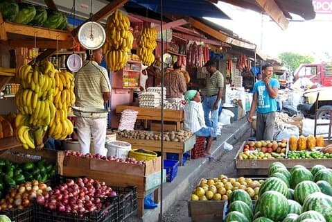 Halvdags kulturell safaritur fra Cap Cana