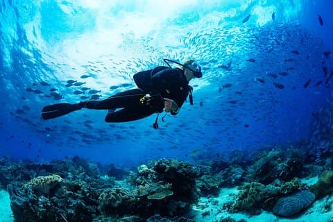 Fun Dives für zertifizierte Taucher