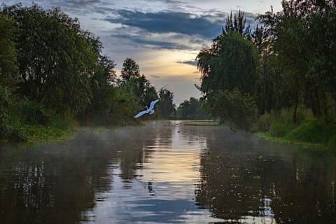 Xochimilco Sunrise fra Mexico