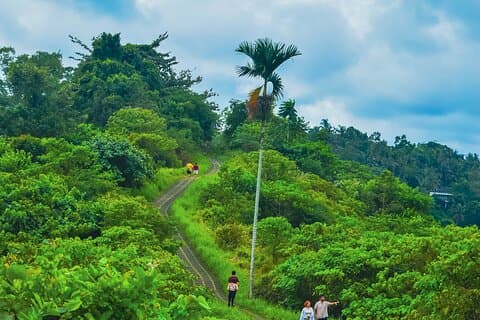 Ubud Trekking und traditionelle Massage Erfahrung