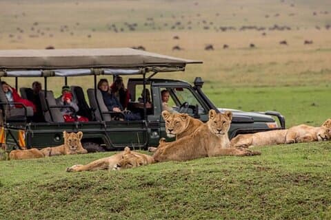 Safari privato di 3 giorni nel Masai Mara da Nairobi.