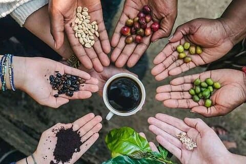 Day trip to Maasai village + Materuni waterfalls and coffee tour