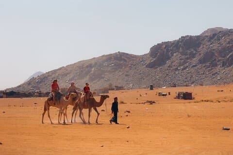 1 giorno e 1 notte | Soggiorno e tour in jeep + cammello nel Wadi Rum | Magica stella beduina