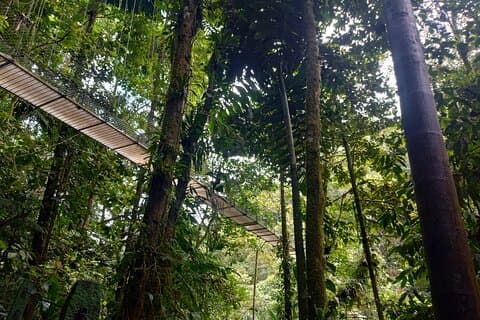 Hängande broar vandra i Costa Rica (självguidad tur)