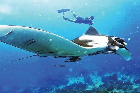 3 Day Trung Over Night on Amazing Emerald Cave and Snorkeling at 7 Color Coral