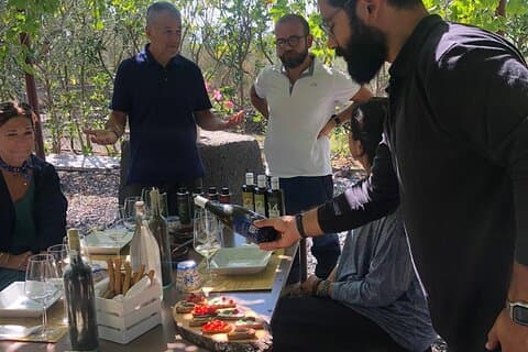 Ab Syrakus: Trekking auf den Ätna mit Weinprobe und leichtem Mittagessen