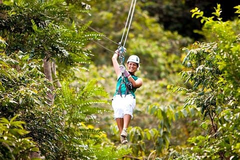 Canopy Countryside Privat dagsutflyktstur från Montego Bay
