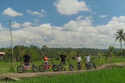 Tour di mezza giornata in fat bike elettrica di Ubud