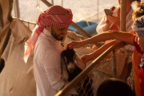Arabian Bedouin Traditional Savvy