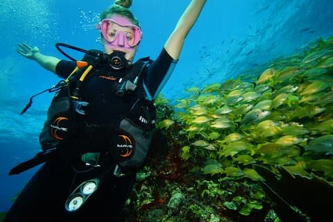 Two Reefs For Certified Divers in Cancun