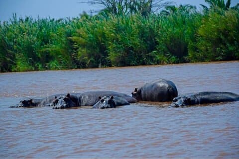 Bujumbura Private Historical Guided Tour