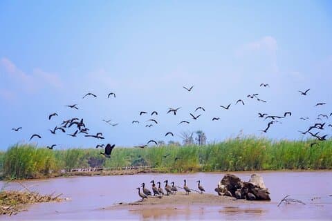 Bujumbura City Small Group Guided Tour: Rusizi Park and World Beach