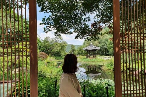 Private Tour : Nami Island & Arboretum & Rail Bike