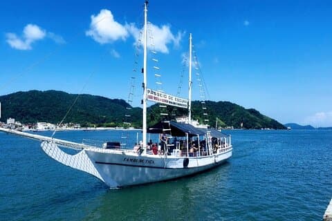 Full-Day Private Tour of Santos with Boat Tour and Viewpoints – Tickets Included